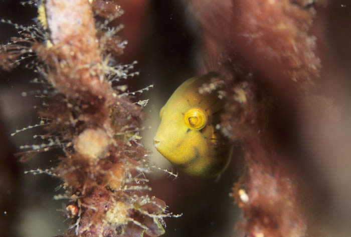 b0042837_414150.jpg