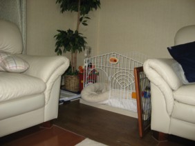 f0098841_8125673.jpg