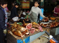 f0079844_13565595.jpg