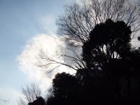 e0080345_16112459.jpg