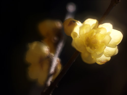 a0003746_1761143.jpg