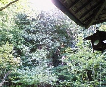 c0093050_11374548.jpg