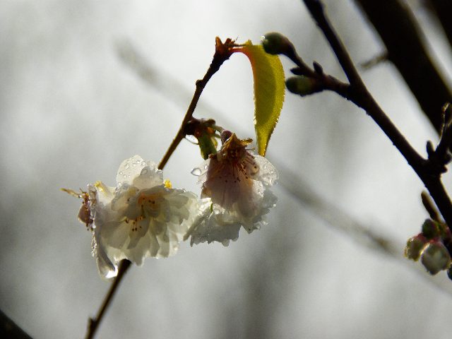 f0033856_22455681.jpg