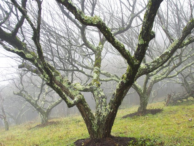 f0033856_22483144.jpg