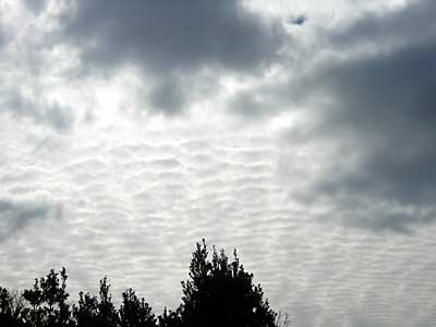 e0097770_16481419.jpg