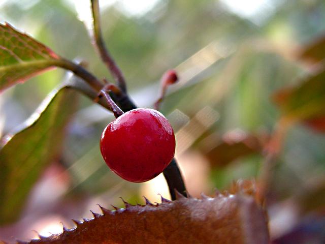a0044076_17343159.jpg