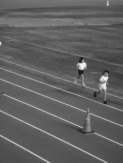 c0046281_23103877.gif