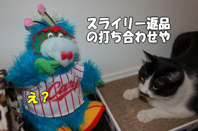 b0041182_2335559.jpg