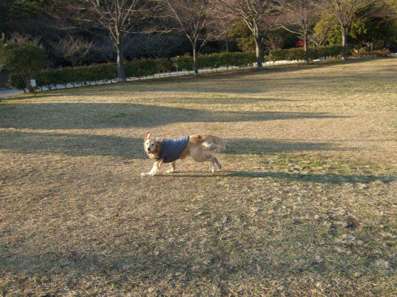 c0104492_234349100.jpg
