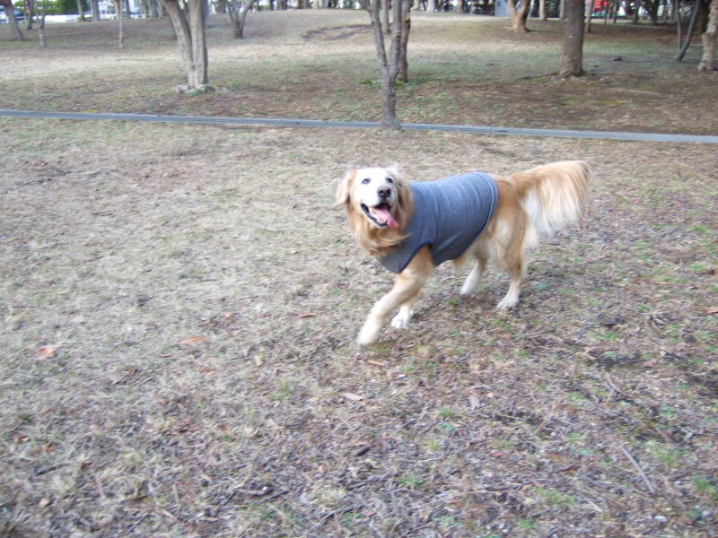 c0104492_23461371.jpg