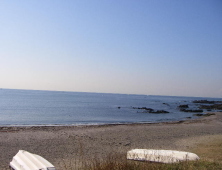 c0008598_10193893.jpg