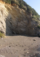 c0008598_1026265.jpg