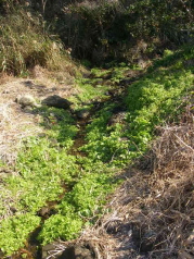 c0008598_10314323.jpg