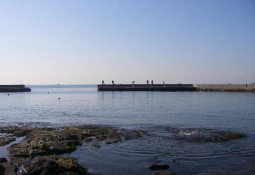 c0008598_10335110.jpg