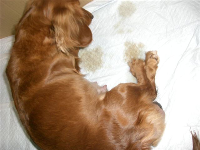 c0087001_20113918.jpg