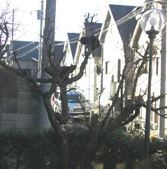 e0016412_015741.jpg