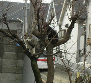 e0016412_021475.jpg