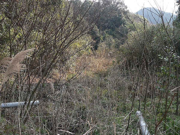 e0002314_22185979.jpg