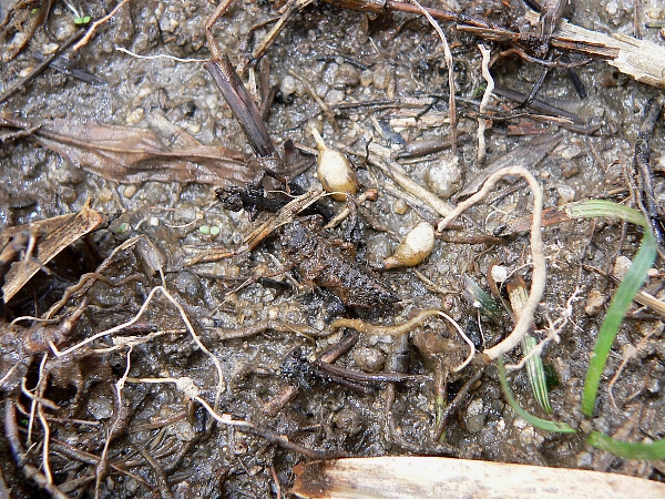 e0002314_22244343.jpg