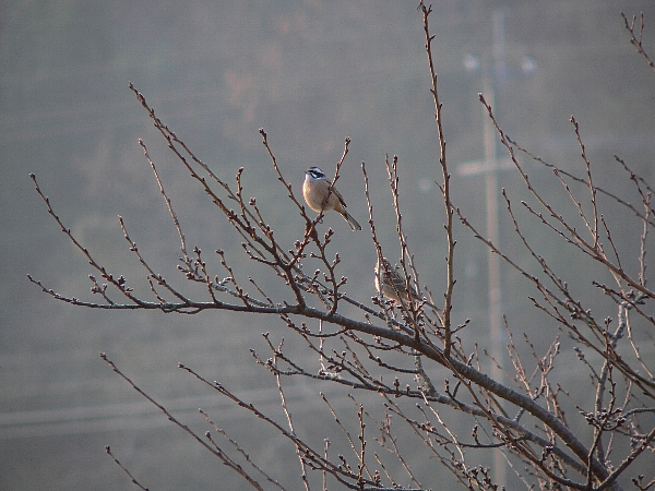 e0002314_22255255.jpg