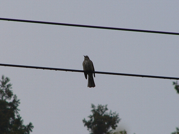 e0002314_2226355.jpg