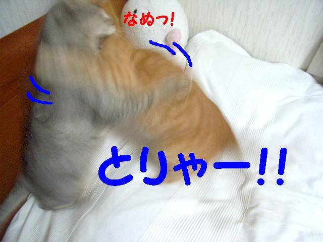 d0081025_20443799.jpg