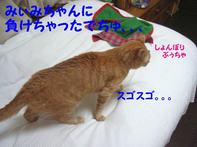 d0081025_2045134.jpg