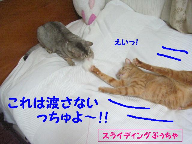 d0081025_20471599.jpg