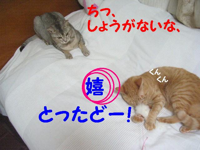 d0081025_20475340.jpg