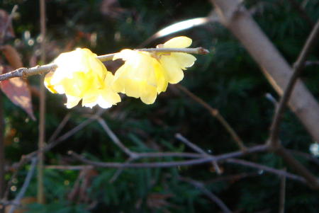 f0023625_177139.jpg