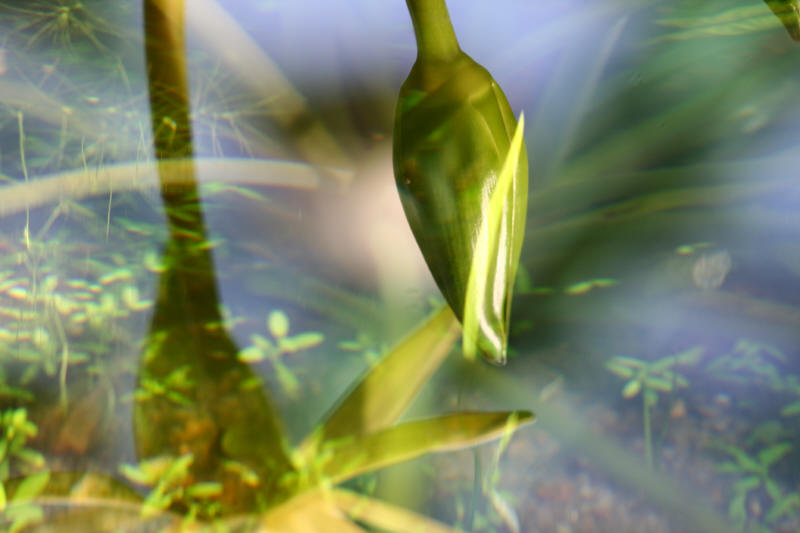 f0017530_20115364.jpg