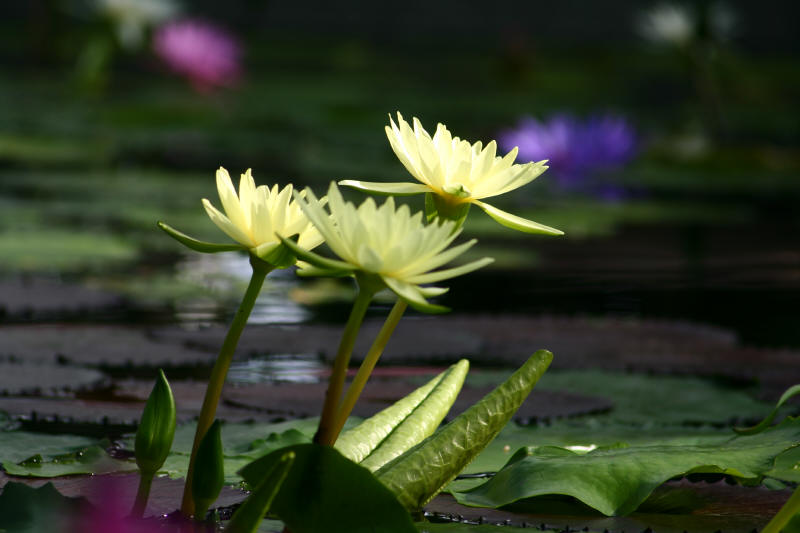 f0017530_20122589.jpg