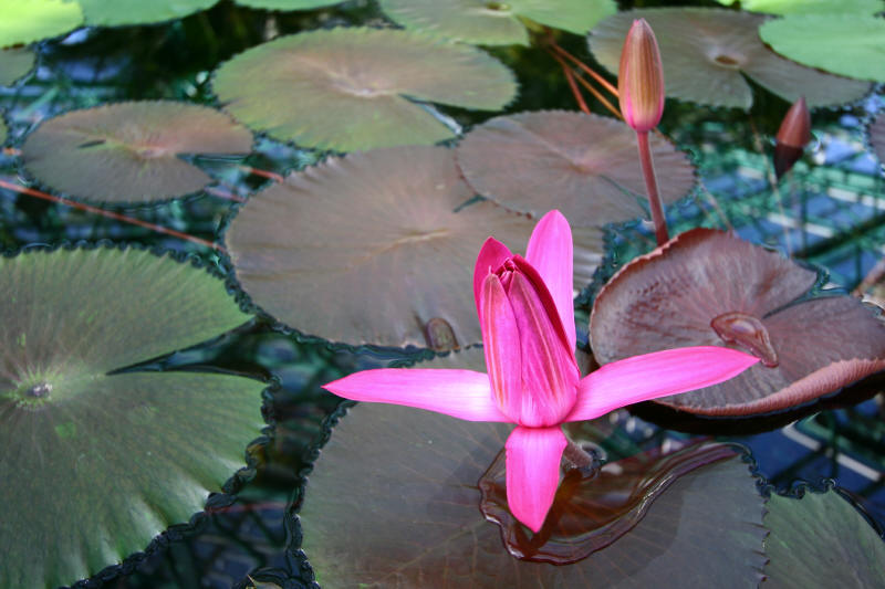 f0017530_2013930.jpg