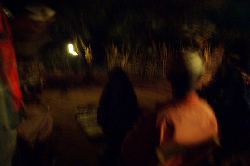 d0032931_221929.jpg