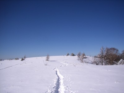 d0059441_0482953.jpg