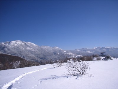d0059441_0501348.jpg