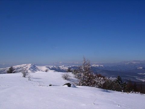 d0059441_12130.jpg
