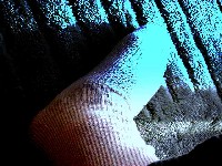 f0053342_15424539.jpg