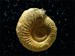 e0005548_2154168.gif