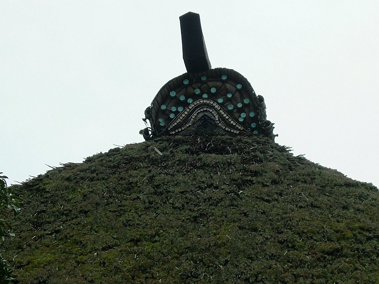 f0000148_22311983.jpg