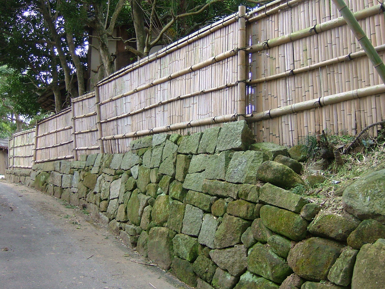 f0000148_2231479.jpg