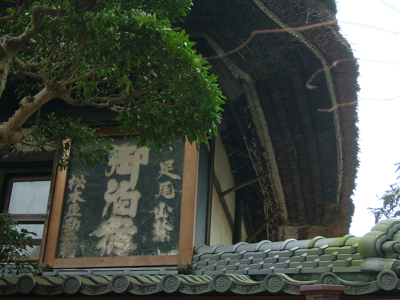 f0000148_22322779.jpg