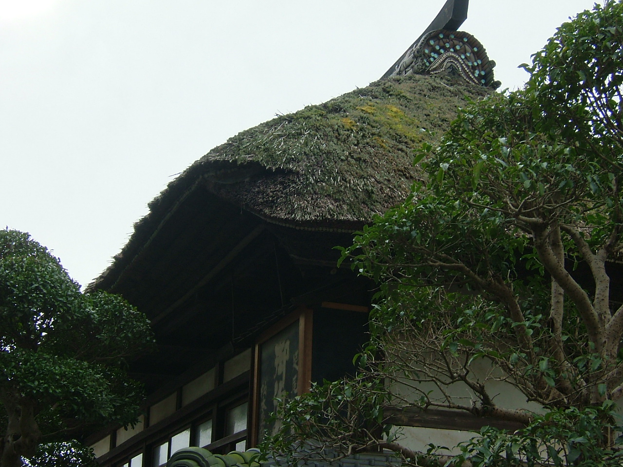 f0000148_2233128.jpg