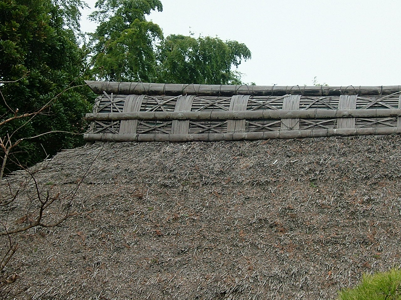 f0000148_22354037.jpg