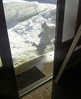 a0009750_22351364.jpg