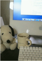 b0068551_1353373.gif