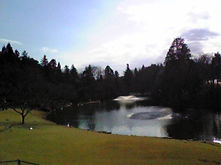 e0089761_3541028.jpg