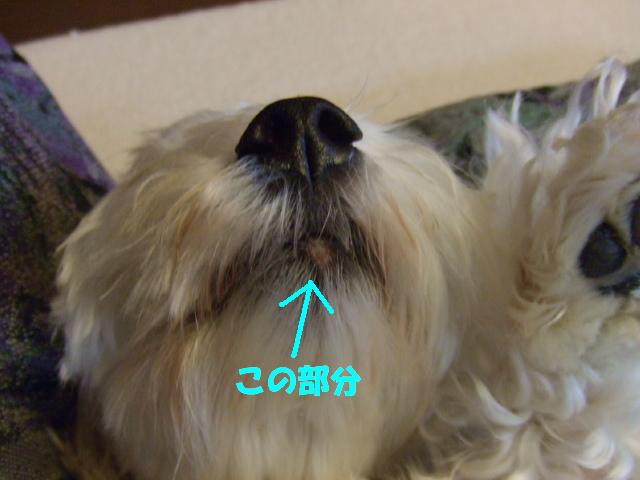 b0103668_13185149.jpg