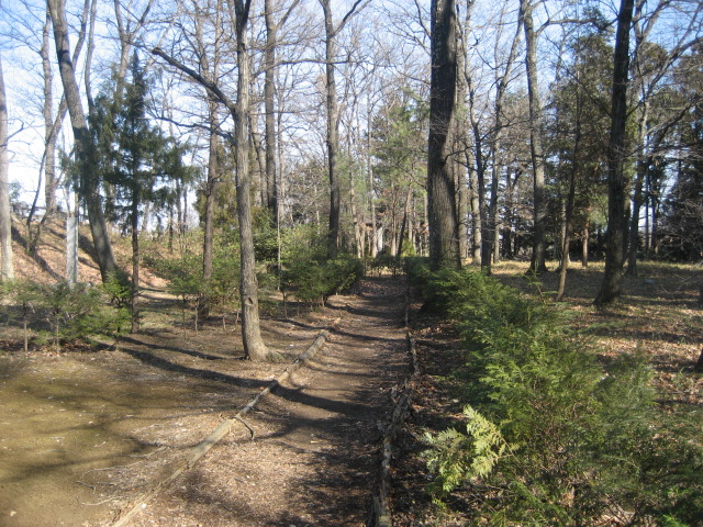 b0032079_2211579.jpg