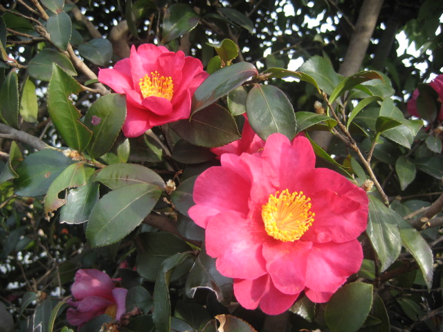 b0032079_22122440.jpg